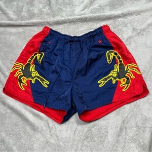 Nike NSW Scorpion Muay Thai Satin Shorts Mens L Boxing MMA Blue Red AR1994-492